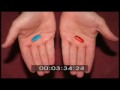 Junkie XL - Blue pill Red pill 