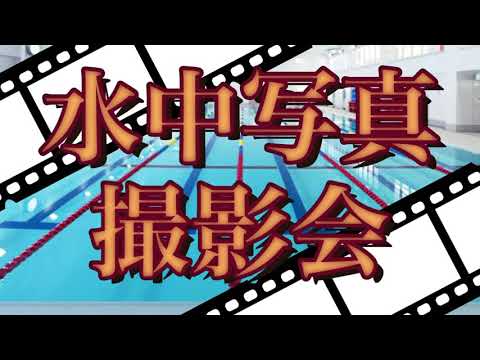 idées-formes-tailles-disponibles-piscines-enterrées