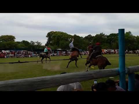 Doma internacional 🇦🇷vs🇧🇷 Copa Pedro Clink. jinete:Simón Closer Decoud vs El Tigre de Gómez