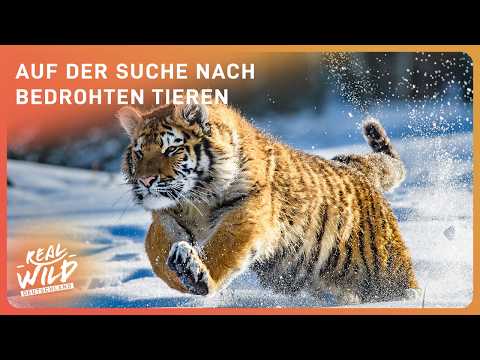 Die letzten ihrer Art: Rettung bedrohter Tierarten