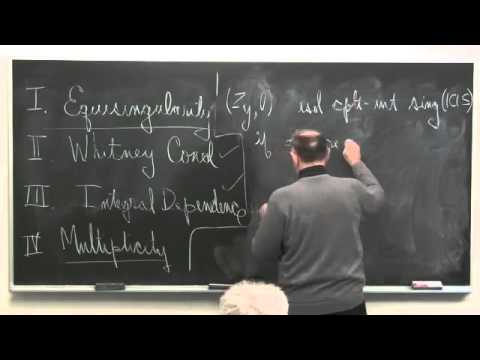 Steven Kleiman - "Equisingularity of germs of isolated singularities"