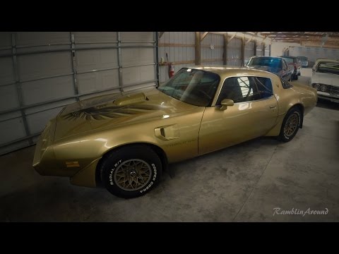 1980 Pontiac Trans Am Quick Look