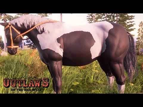 I tamed another horse and made a revolver - Outlaws of the Old West