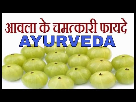honey gooseberry medicinal uses/आंवला कैसे खाये/indian ayurveda channel Video