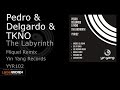 Pedro & Delgardo & TKNO - The Labyrinth ...