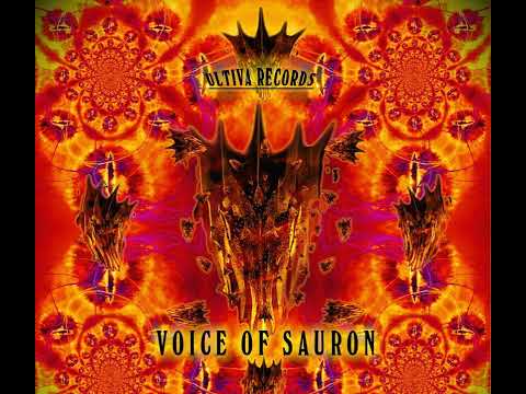 01 Wizack Twizack - The Mind of a Lunatic (Remix)