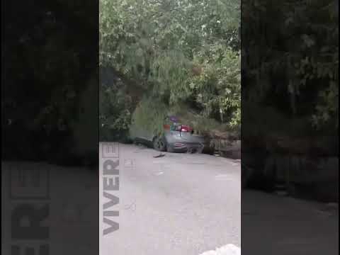 Árvore cai sobre carro durante fortes rajadas de vento na Rua Carlos Gomes, em Santos.