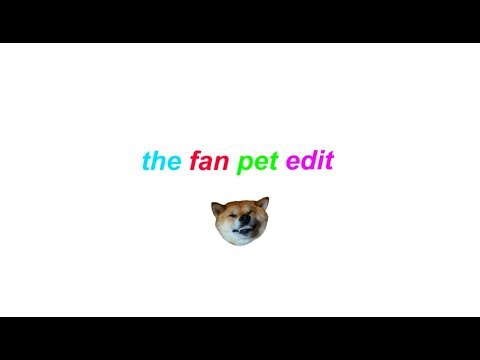 THE FAN PET EDIT