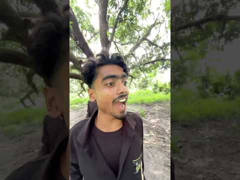 Trollex vs Jaitai 😂 ||#trollexbongo #comedy #funny #funnycomedy #juyel #viral