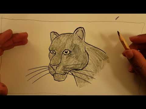 Black Panther Drawing Art Lesson