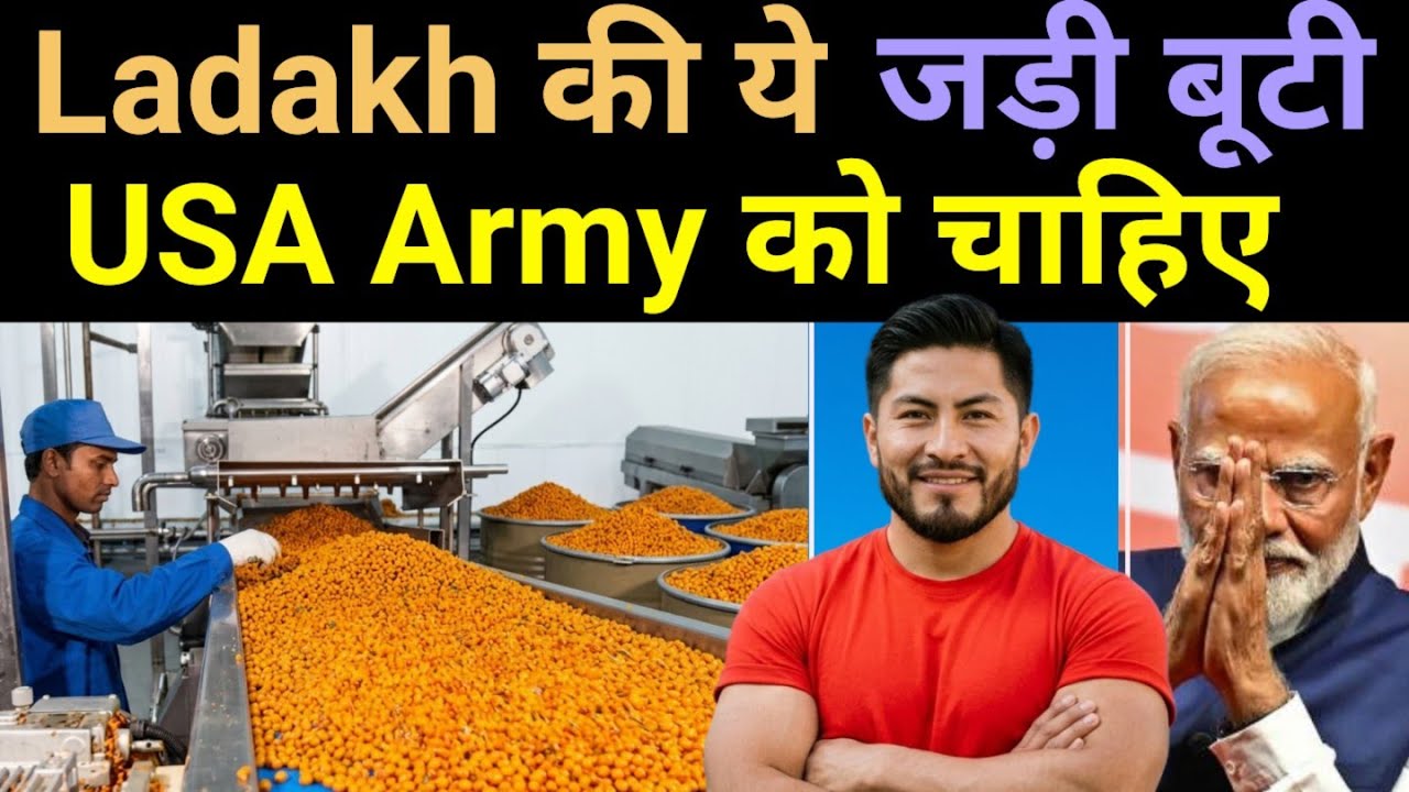₹10 lakh कमाता है This ladakh man sells sea buckthorn Jam 🔥 US Army wants it