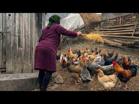Winter Mountain Village Life in Azerbaijan | Fresh Cheese & Homemade Soup