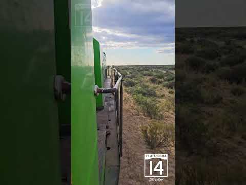 Por la llanura rionegrina... GT 22 9070 de Tren Patagónico... #ferrocarrilesargentinos