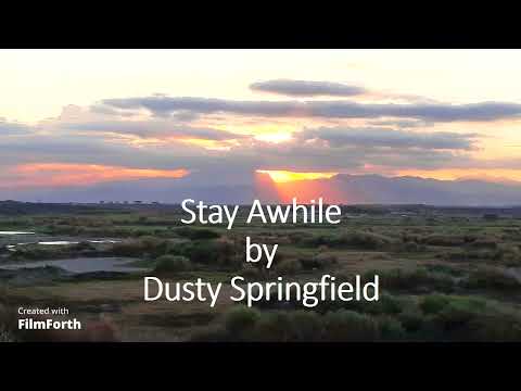 Dusty Springfield - Stay Awhile