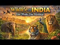 Wildlife Of India Our Pride Our Heritage Hindi Infinity Stream
