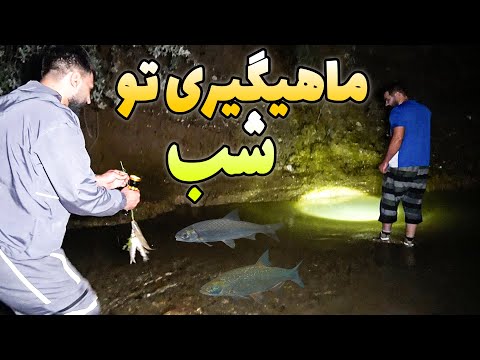 نصف شب رفتم تو رودخونه های کردستان  با دست خالی ماهی گرفتم 🤩 رودخونه اش چقدر زیاد ماهی داشت 😳