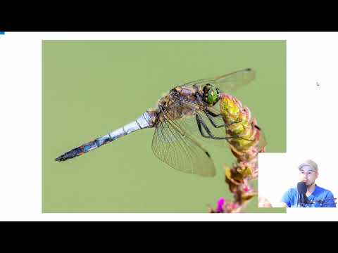 Ich beurteile eure Bilder/Bildkritik Nr. 10