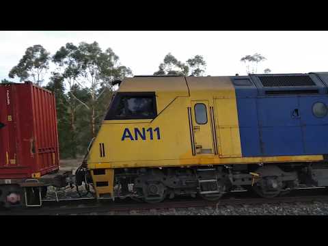 NR66, NR53 & AN11 at Wadina NSW.  Sat 25th Jan 2020