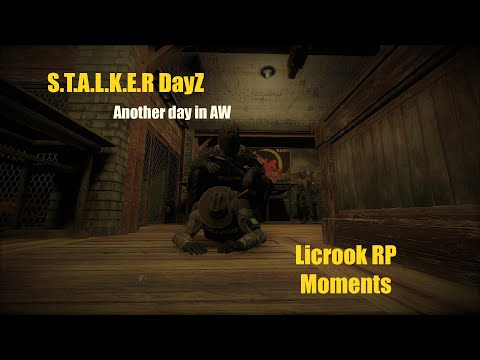 AW, what could go wrong? / Licrook Stalker RP / DayZ Stalker RP