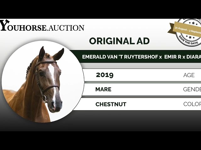 Original showvideo