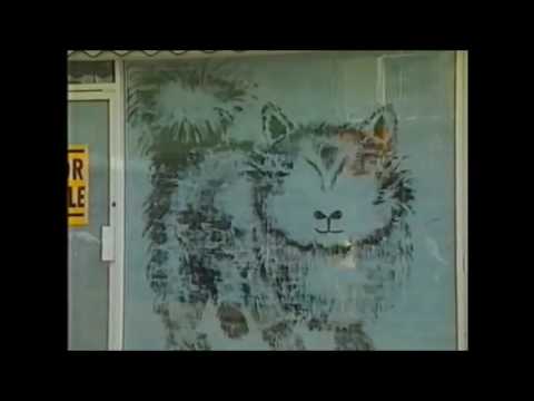 Art Attack - Series 6, Episode 8 (1994) Clip 266: Big Art Attack of Cat