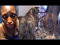 OMG The Lekki Babe Video With A Dog Full Video Tape