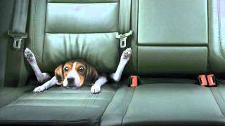 Vanessa by Billy Swan