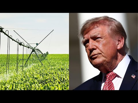 Trump announces $8 billion relief money for farmers but their huge economic concerns linger