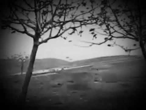 Ciğerim soldu asi stayla