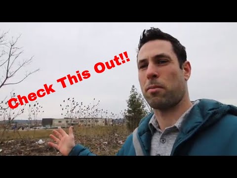 Gorgeous Home For Sale - Milton Real Estate - 889 Willingdon Crescent