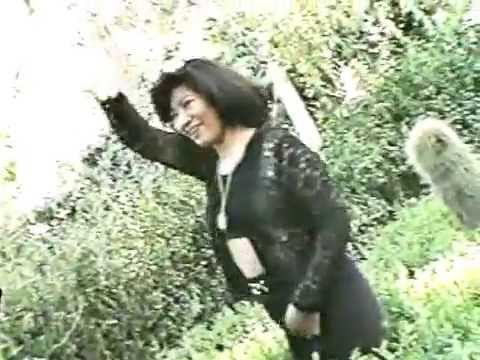 DESTELLOS - Que lindo son tus ojos (Con Audio-Imagenes-originales)