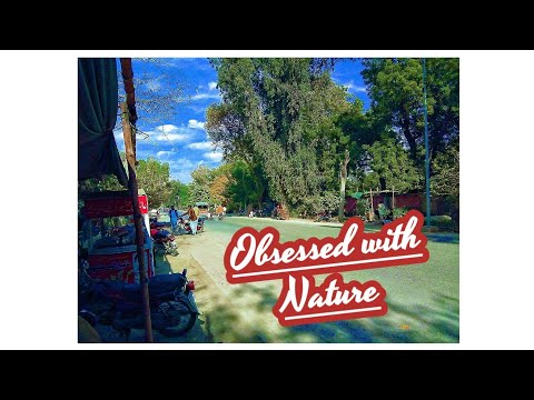 Obsessed with Nature