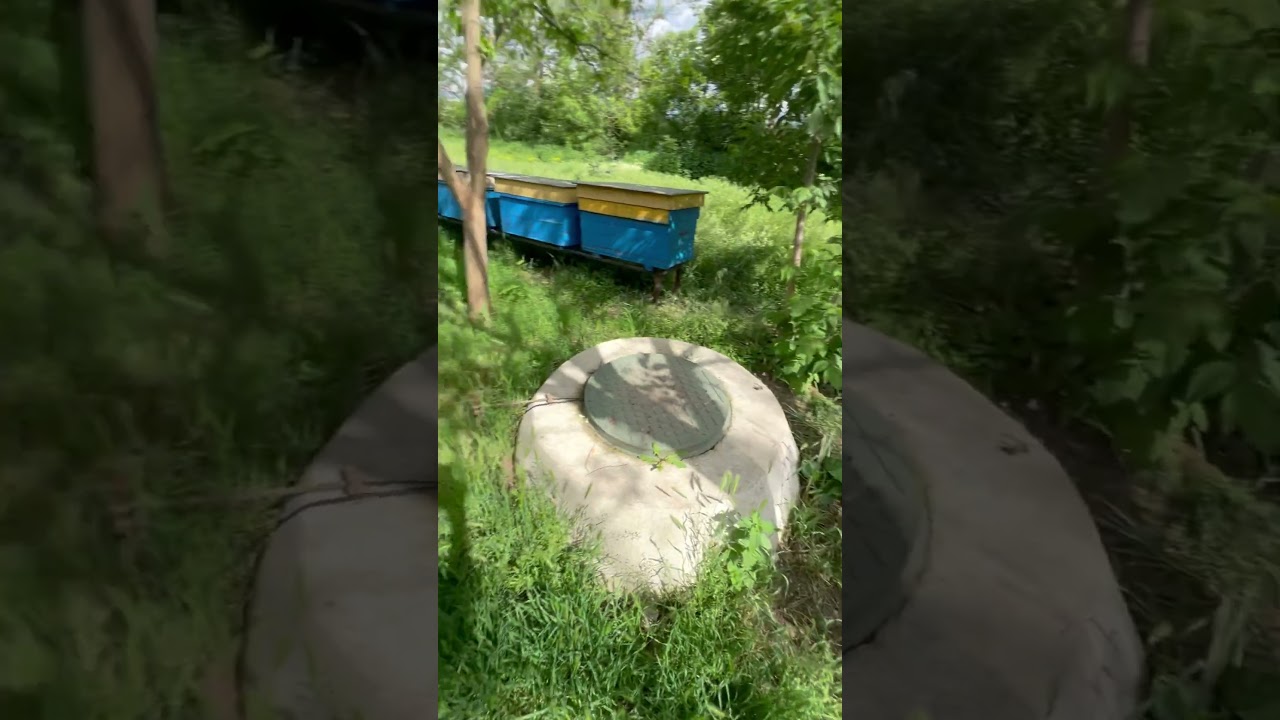 Пасека в деревне!