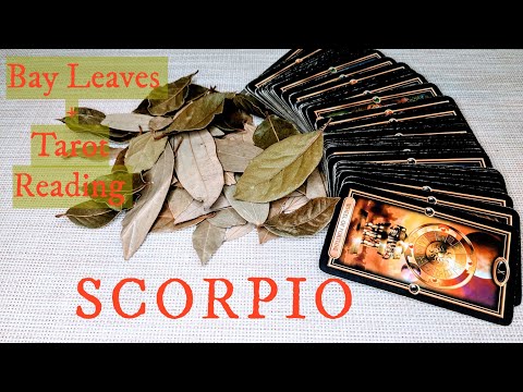 SCORPIO - This is the Best Thing to Ever Happen to You! JANUARY 12th-18th 