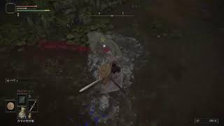 【ELDEN RING】絶対たおす　パート4
