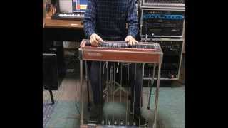 Steely Dan - Pearl of the Quarter [Pedal Steel Guitar Cover]