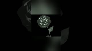 Brenn B × Lil Biz × Brent Henri - Southside