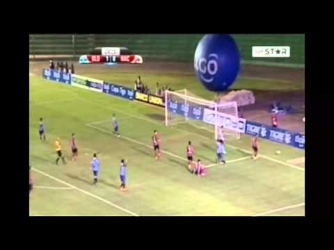 MARTIN MINADEVINO BLOOMING 2014