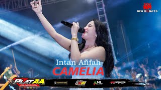 Download lagu INTAN AFIFAH - CAMELIA | NEW MONATA LIVE ANIV 2nd PLAT AA COLABORATION mp3 Download lagu INTAN AFIFAH - CAMELIA | NEW MONATA LIVE ANIV 2nd PLAT AA COLABORATION mp3