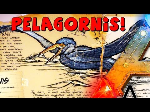 ARK Survival Evolved | PELAGORNIS Dossier ( BIRD FROM HELL )