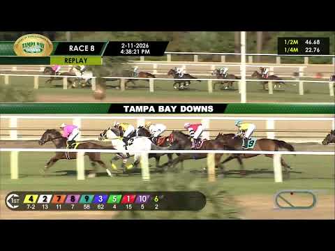 Tampa Bay Downs Live Stream