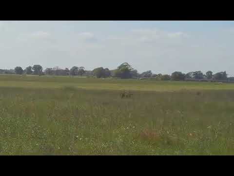 world wheelie record 2023 Elvington UK. PHILIPPE RICHARD