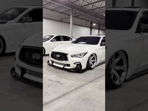 Q50 Bagged on Nismos #infiniti #Q50 #Nismo #airliftperformance