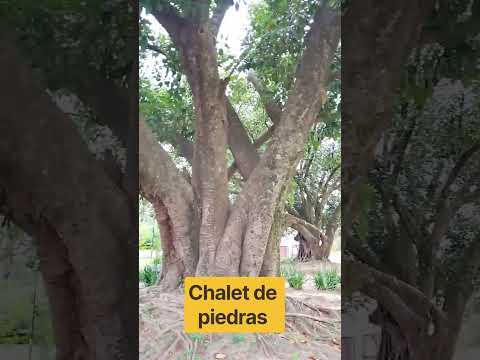 visitamos un antiguo y abandonado chalet de piedras en la ciudad de Empedrado