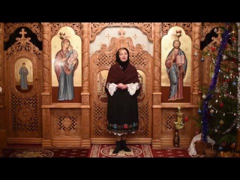 Raluca Iulia Micle - Soare, lună, mii de stele