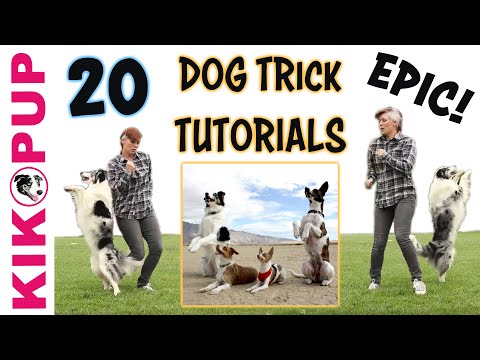 What is Clicker Training