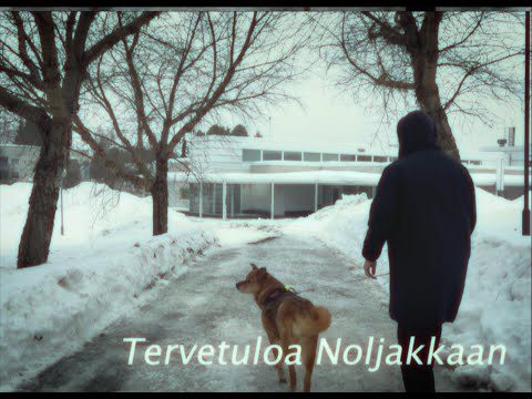 Tams - Soita mulle [Official Music Video]