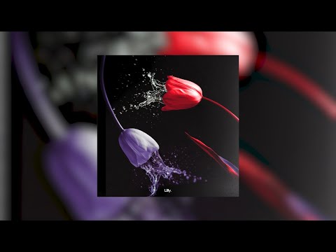 Sol Novaro, VLLN, Jamie A - Seething