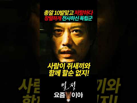 총알 10발맞고 저항하다 장렬하게 전사하신 독립군 #밀정 #김지운 #송강호 #공유 #한지만 #엄태구 #신성록 #허성태 #독립군 #일제강점기 #LBLY8