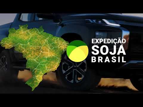 Maracaju é destaque na produção de soja em Mato Grosso do Sul | Canal Rural